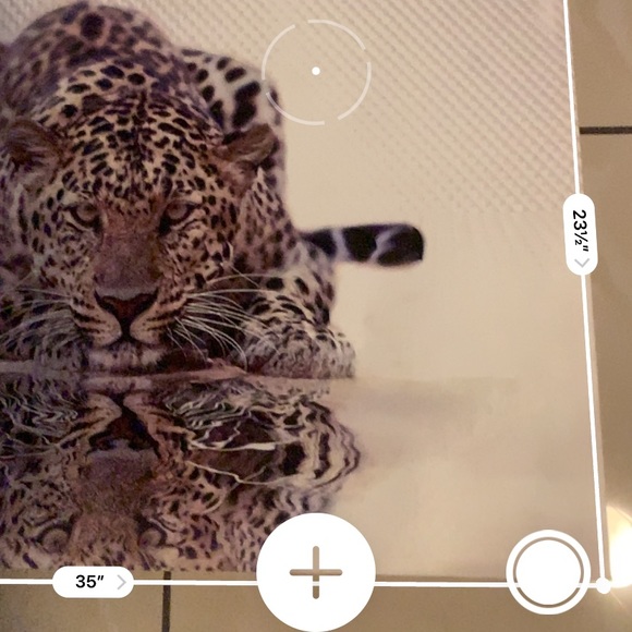 Canvas - Picture 2 of 2